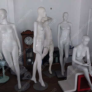 마네킹
