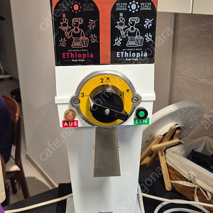 말코닉 과테말라