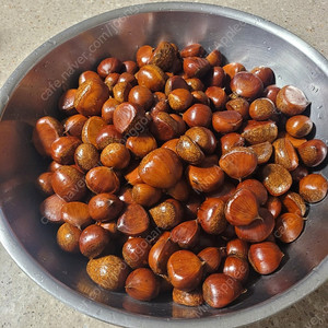 햇밤 3키로