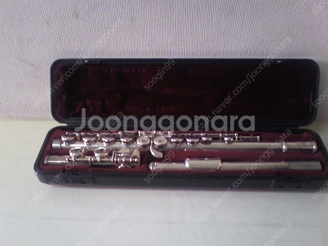 클라이넷(셀마)+플룻(야마)--1