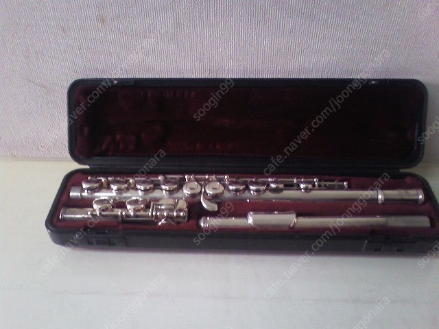 클라이넷(셀마)+플룻(야마)--1