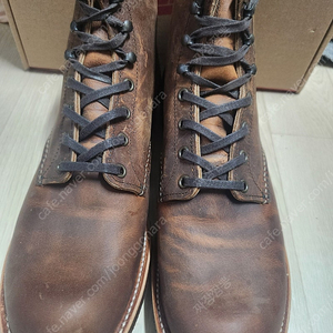 레드윙 3343 290(us11)