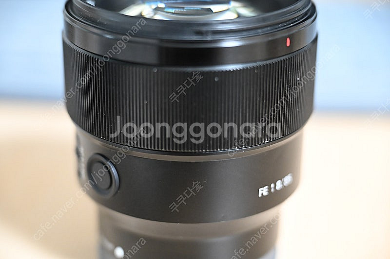 소니 FE 85mm f1.8--2