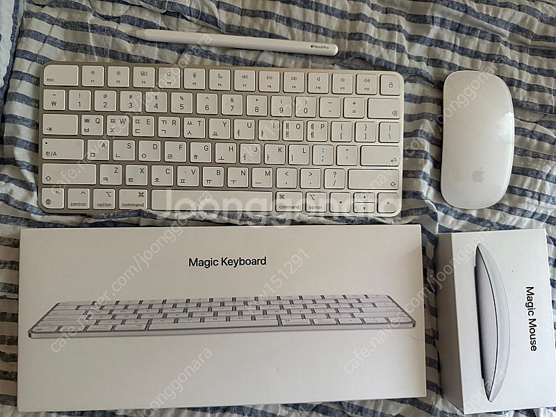 (리퍼 후 미사용) 아이패드 프로 13 M4 1TB 셀...--9
