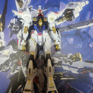 메탈빌드 2024 스트라이크 프리덤 미전시