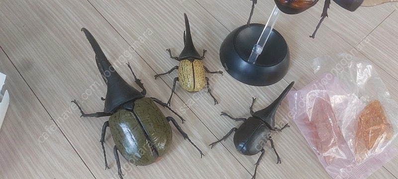 생물대도감 피규어 일괄 판매합니다 이미지
