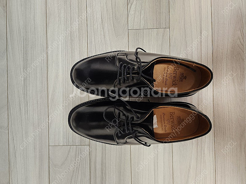 [버윅] 코도반 더비 5341 새상품 6.5--2