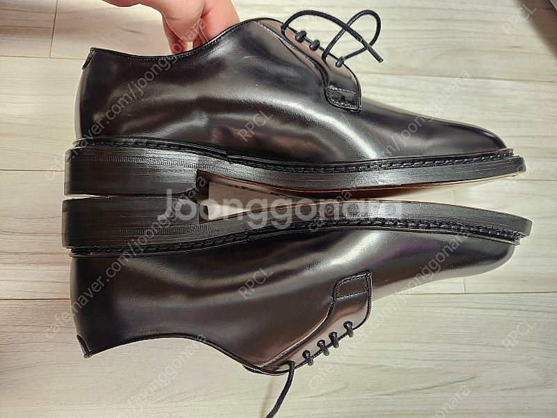 [버윅] 코도반 더비 5341 새상품 6.5--5