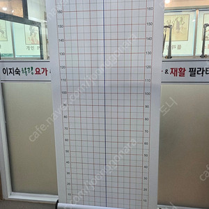 체형분석기 발란스핏 팝니다 ( 김해 )