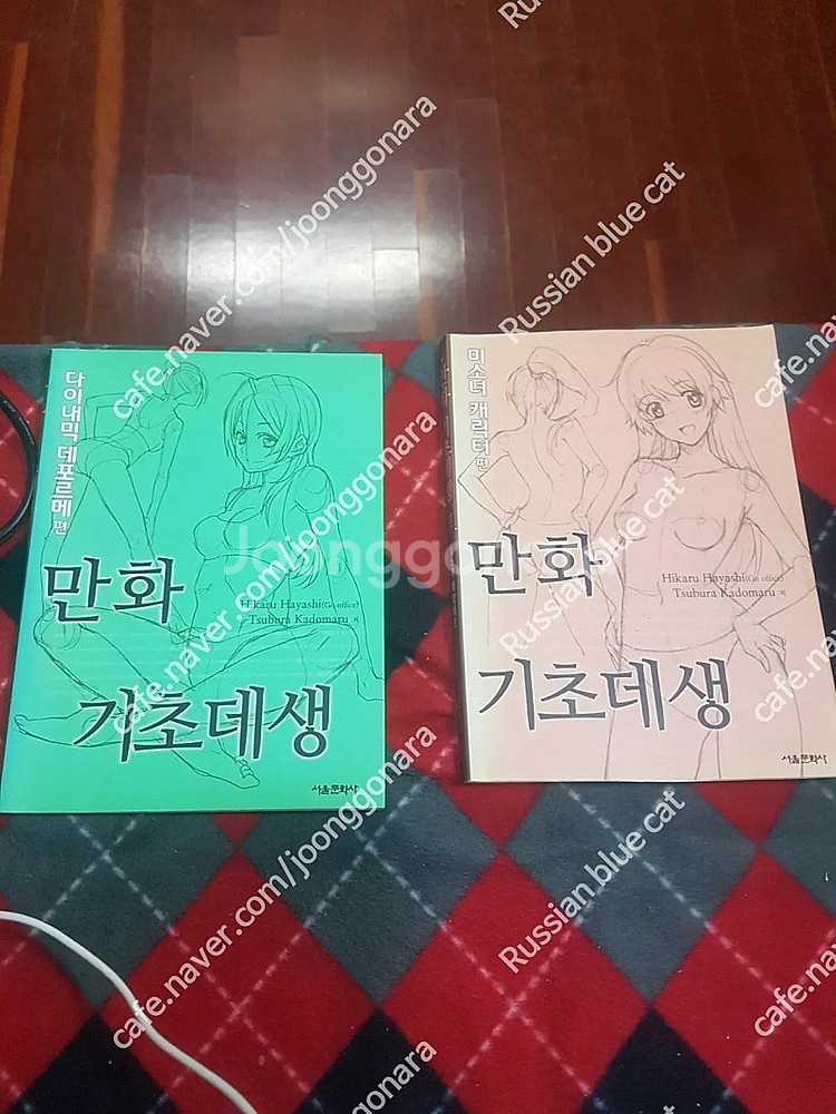 중고도서 5일만에 배우는 만화 그리기 쉽게 배우는 만화 배경 원근법 만화 컬러 테크닉 외 판매합니다.--1