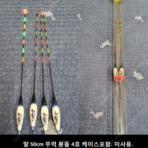 민물 전자찌 ㅍㅍㅍ 가격인하