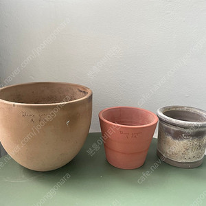 두갸르송 팡20,비올레13,올리비에12