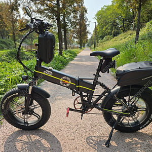 전기자전거 전기 팻바이크 (스테이트 SF5 20인치)