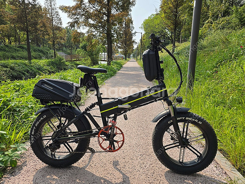 전기자전거 전기 팻바이크 (스테이트 SF5 20인치)--1