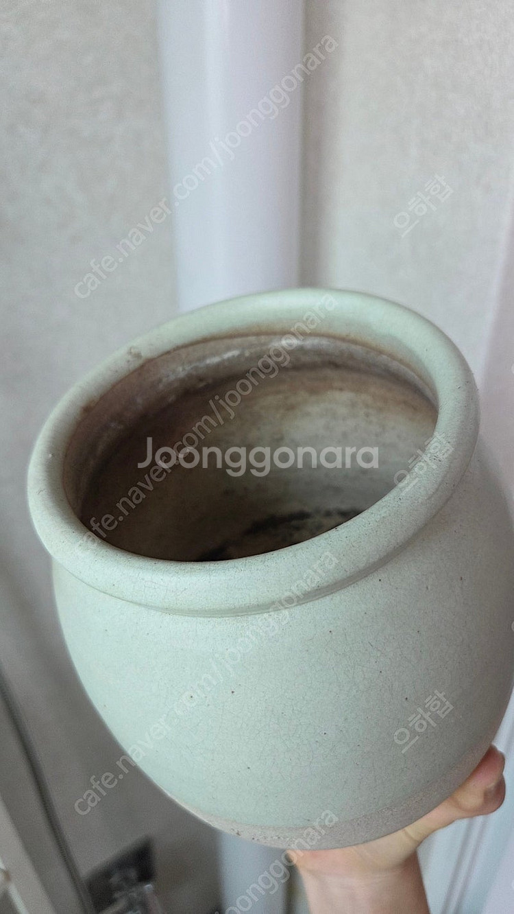 두갸르송 민트 유약 손싸개 대 size (사용팟)--2