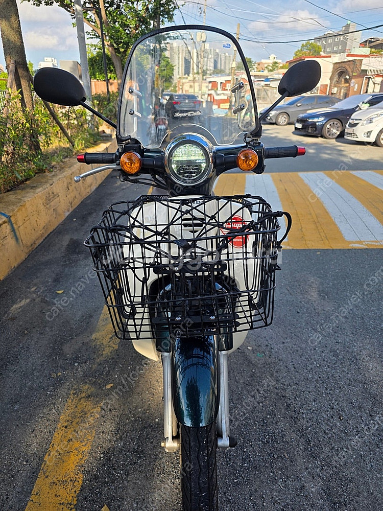 2020연식 슈퍼커브110 그린--1