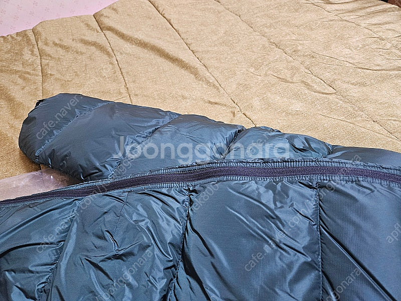 아크테릭스 페더다운--1
