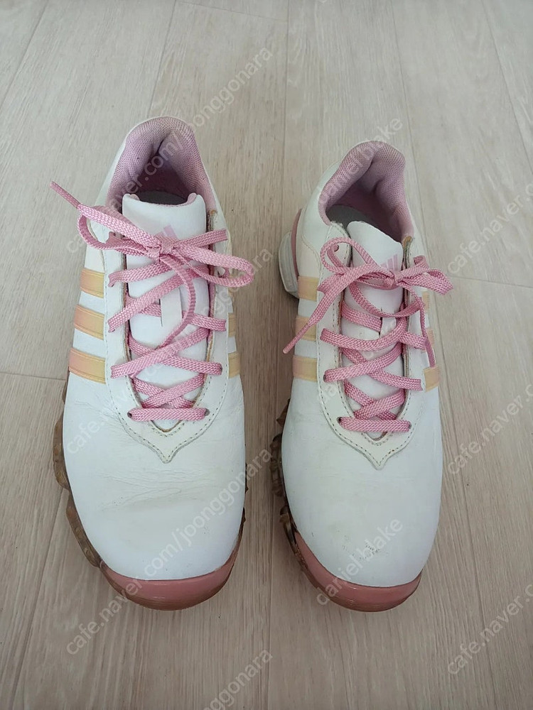 아디다스 여성골프화 235 이미지