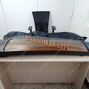 21현 중국 가야금
