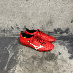 미즈노 축구화 270