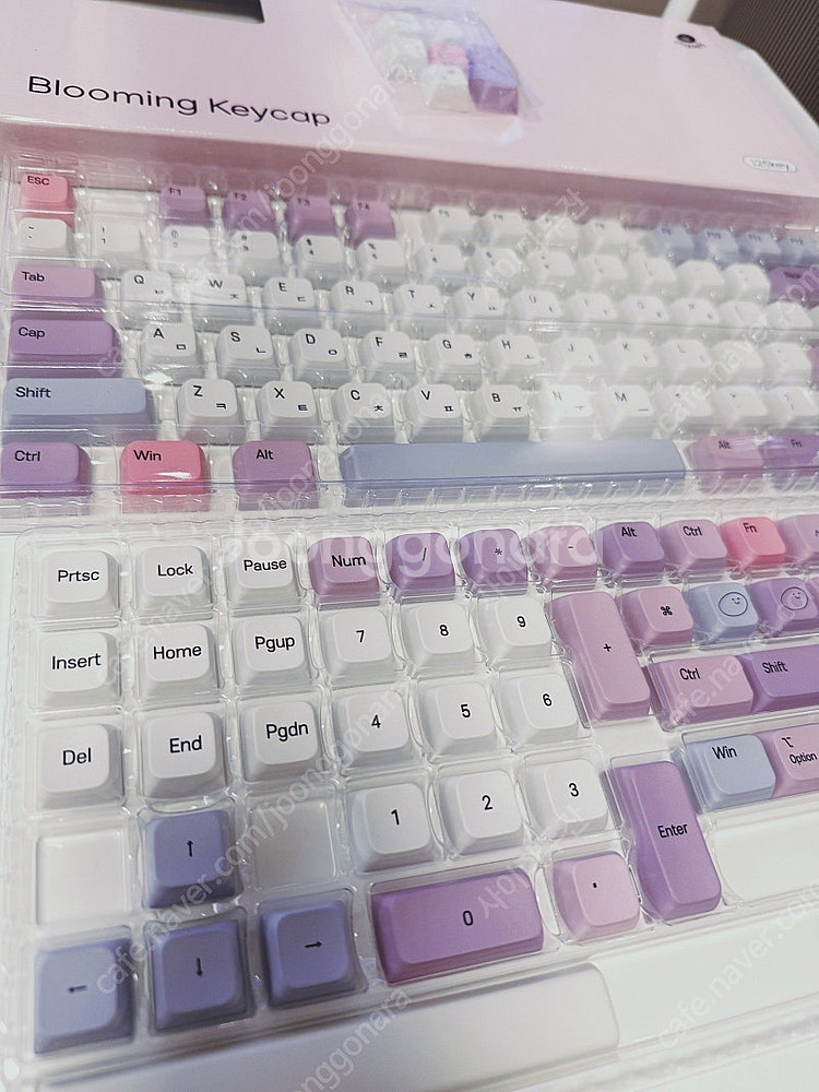 페블온 블루밍 xda 한글 키캡 팝니다--0