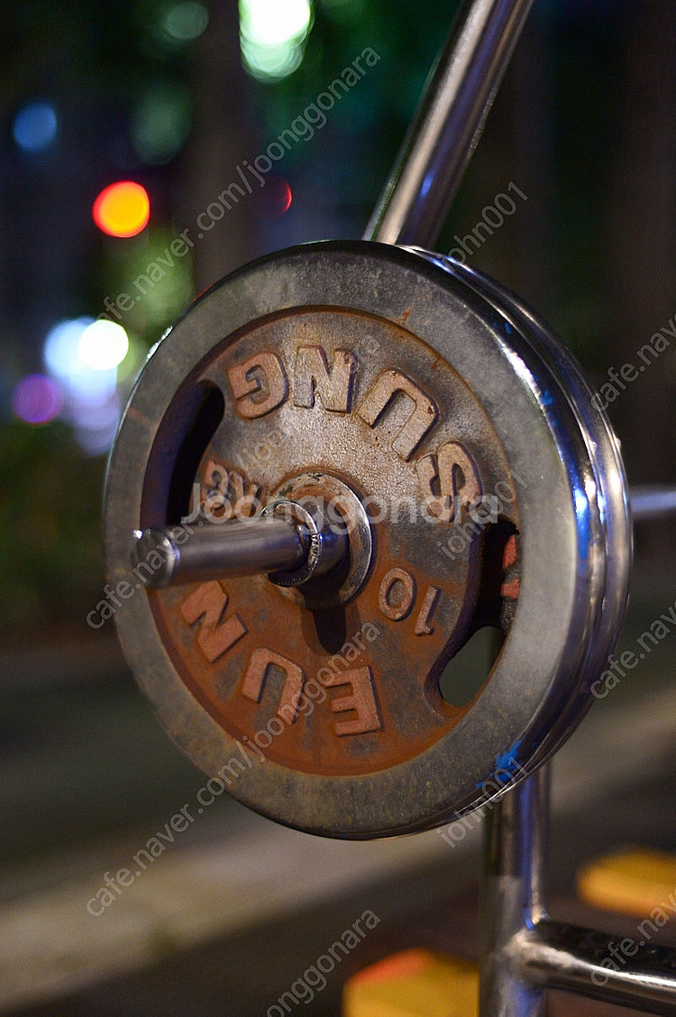 니콘 d4 + 50mm 렌즈--3