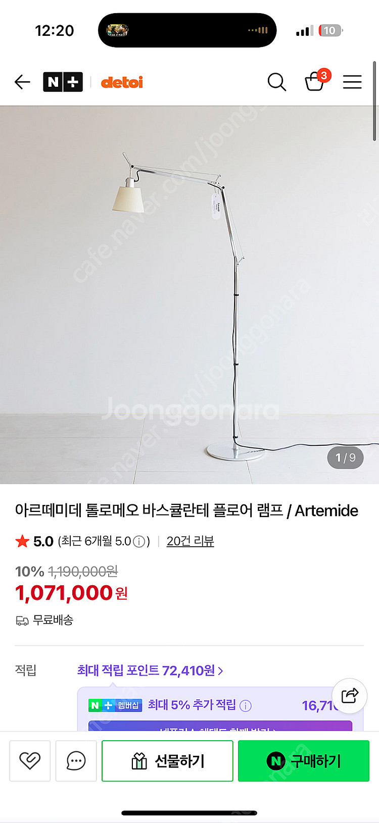 아르떼미데 바스큘란테--0