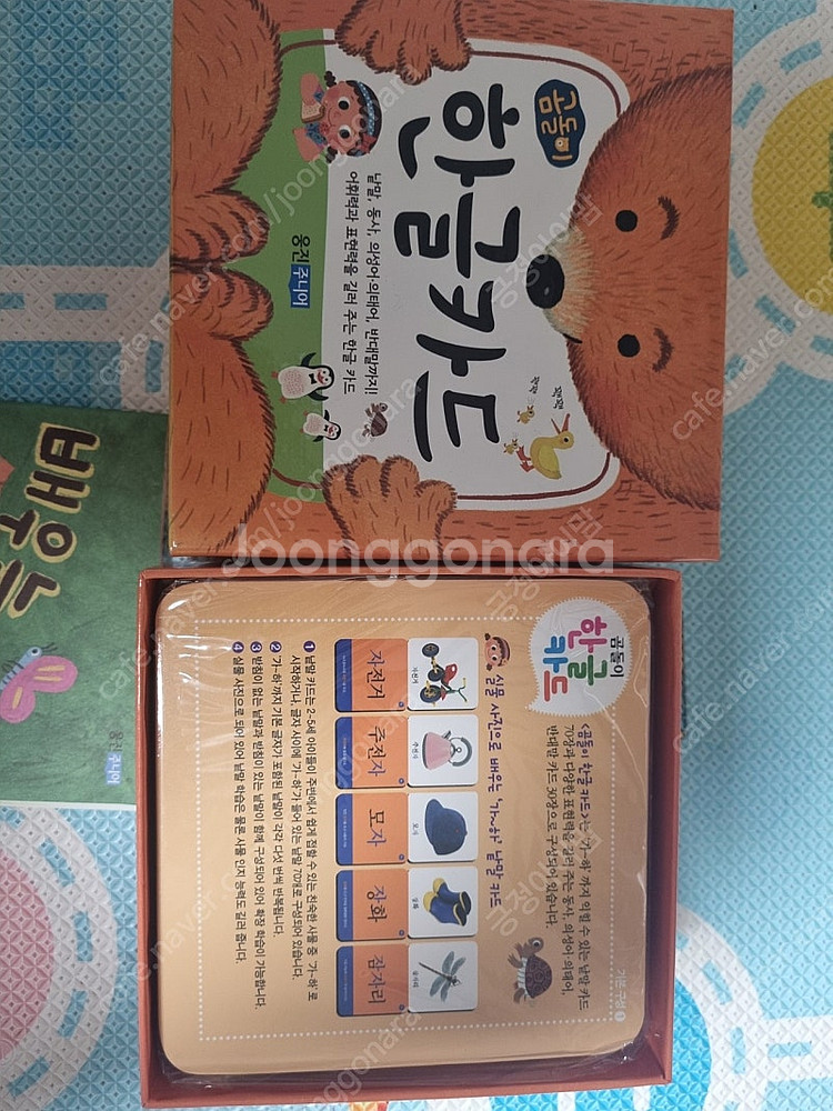 웅진주니어 곰돌이카드 자연 한글 한자 영어 숫자 카드--1