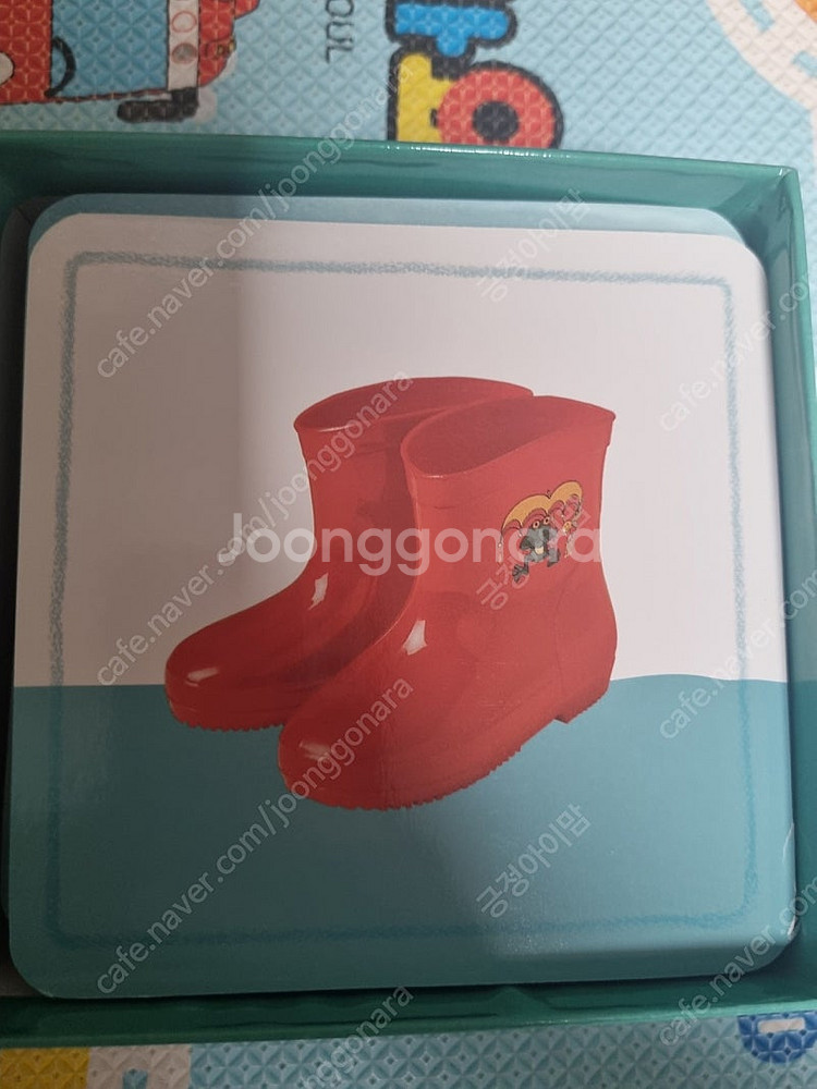 웅진주니어 곰돌이카드 자연 한글 한자 영어 숫자 카드--3