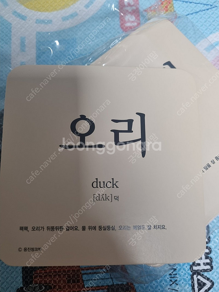 웅진주니어 곰돌이카드 자연 한글 한자 영어 숫자 카드--5