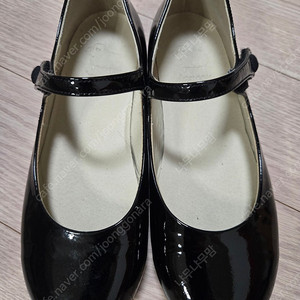 앙뉴 로벨리아 트윙클 블랙 13 (200) 택포