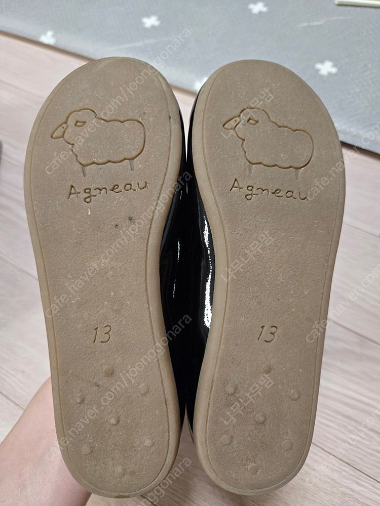 앙뉴 로벨리아 트윙클 블랙 13 (200) 택포--1