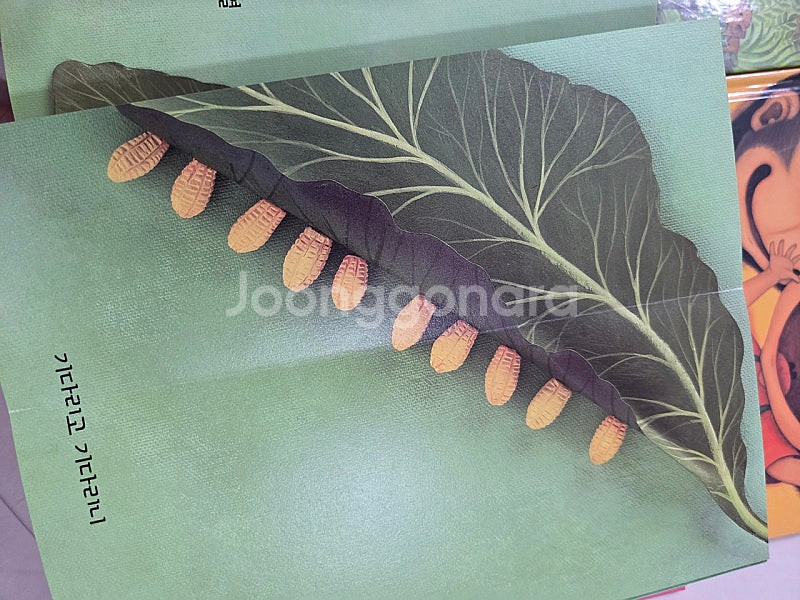 최축희 괜찮아 나도 나도 커다란 알 하나 등 일괄--1