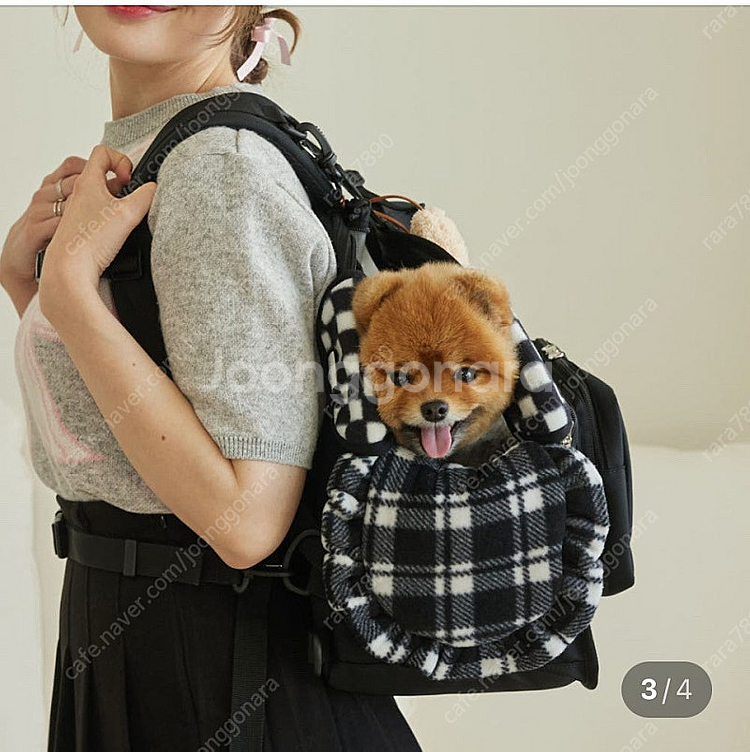 꼬뗀느 백팩--1