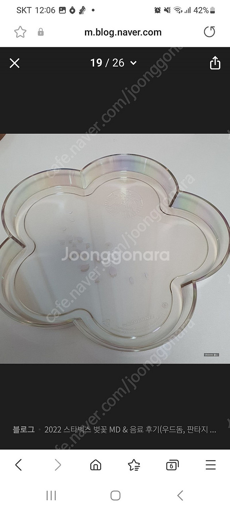 (새상품) 스타벅스 체리블라썸 판타지 트레이 (오로라 쟁반)--2