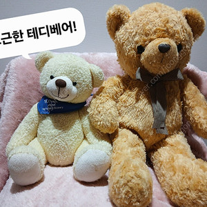 테디베어 곰돌이 인형