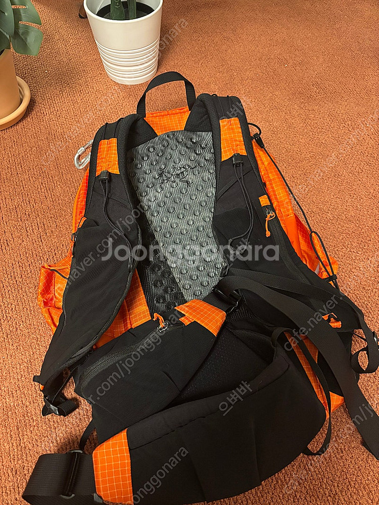 아크테릭스 에어리어스 30L 등산백팩 가방 30리터--1