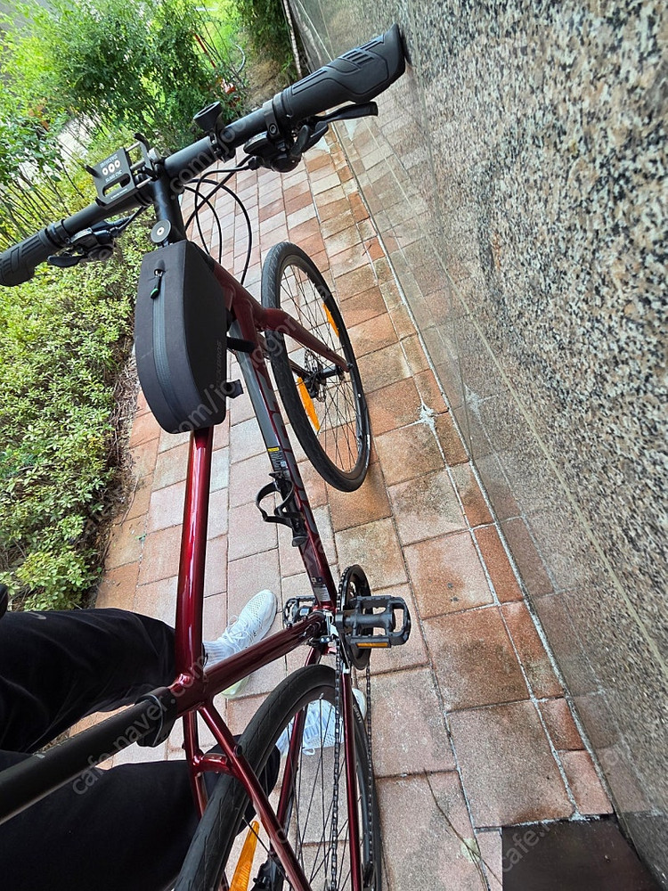 자이언트 에스케이프2 disc 2023 이미지