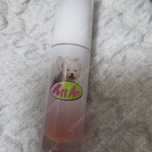 페리페라 틴트 댕리피릿