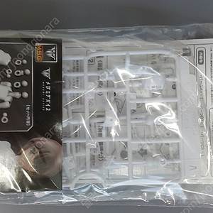 msg 탑스세트 블랙 화이트