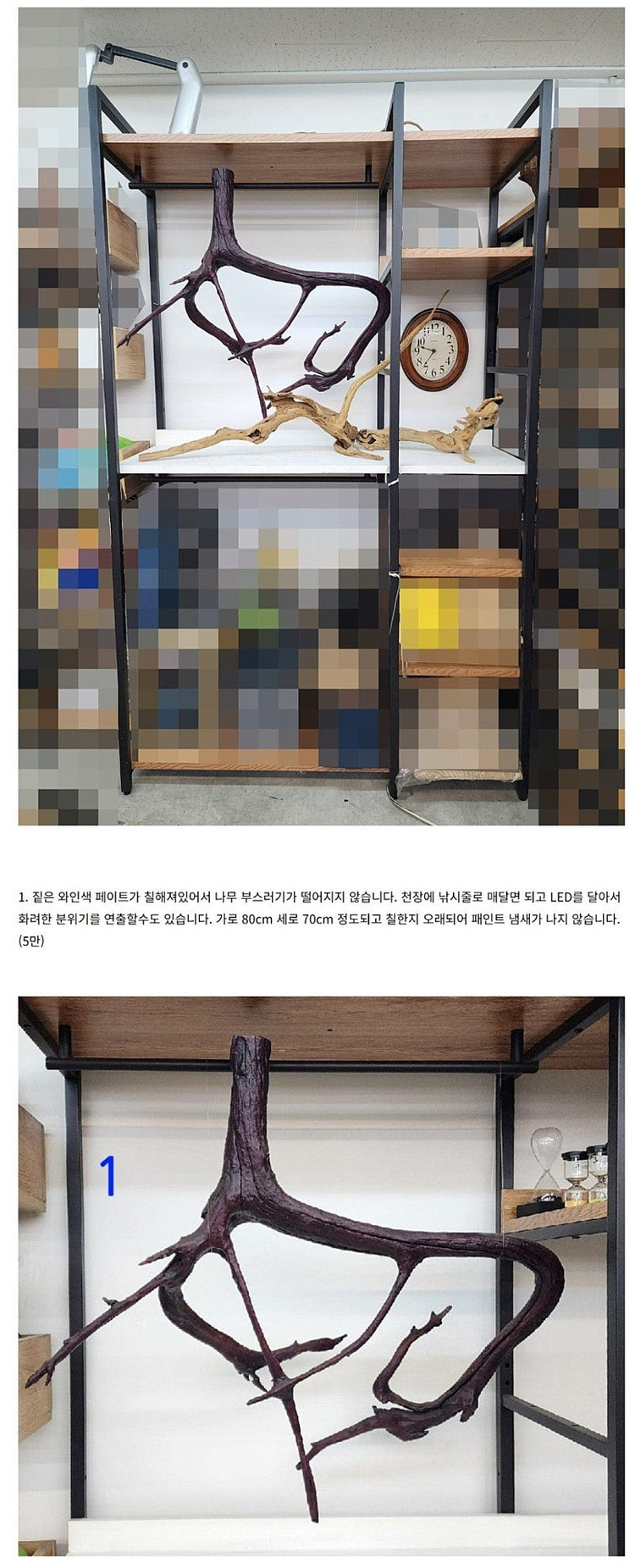 조각처럼 멋진 인테리어 용 아카시아 나무 (유목)--1