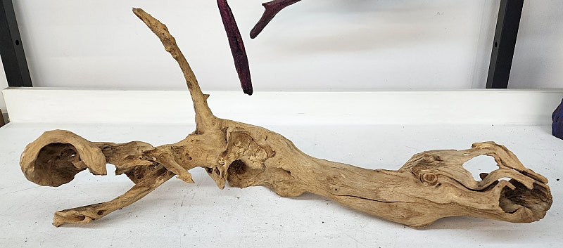 조각처럼 멋진 인테리어 용 아카시아 나무 (유목)--4