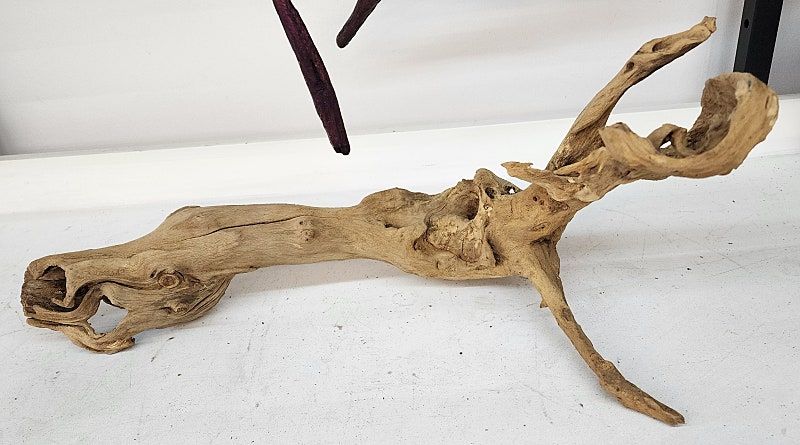 조각처럼 멋진 인테리어 용 아카시아 나무 (유목)--5