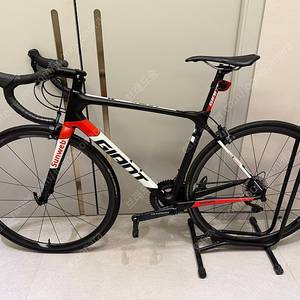 자이언트 TCR 썬웹 Sunweb 프로팀 M사이즈