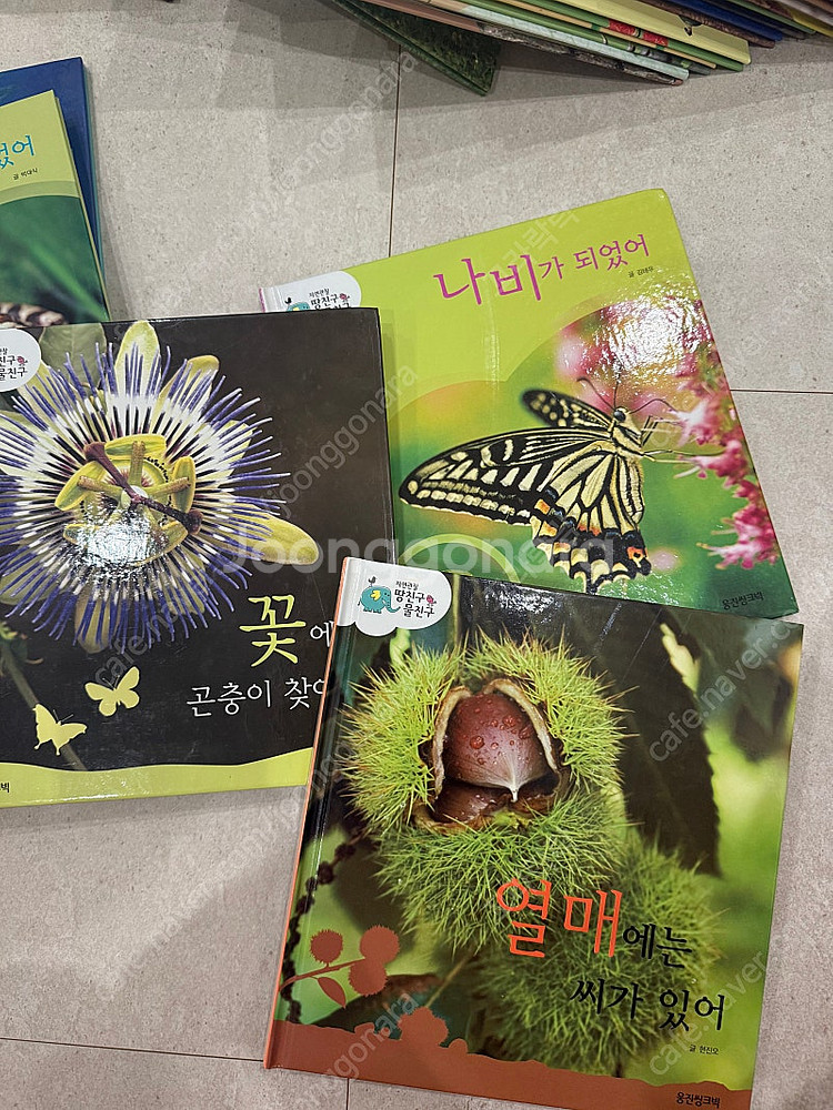 웅진 땅친구 물친구--7