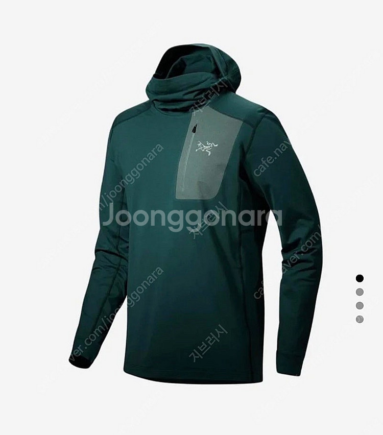 아크테릭스 로 LT 후디--0