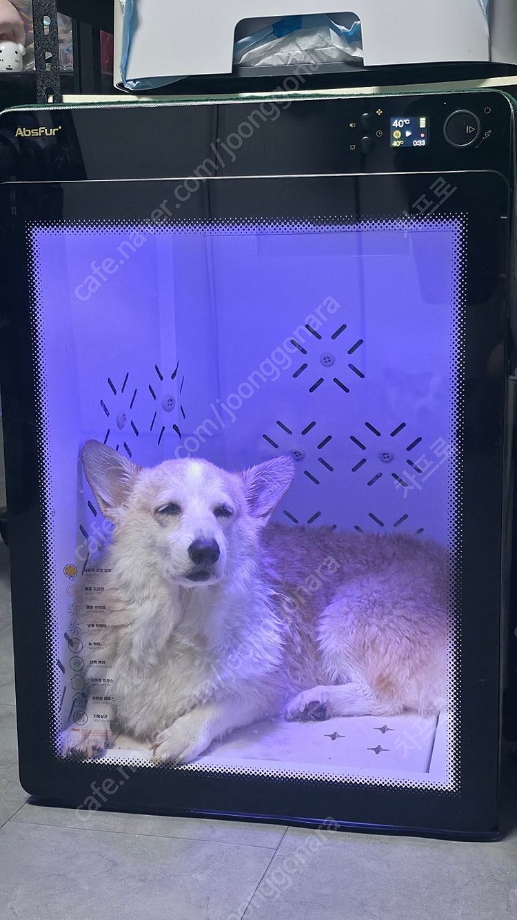 페페 앱스퍼 드라이룸 MDR-3000PRO--1