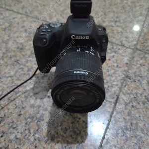 캐논 200D