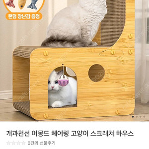 (새상품) 개과천선 고양이 스크래쳐