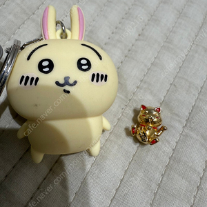 판도라 일본 복고양이참 (택포)